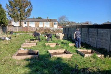 Guys working at Root and Rise in the Sun