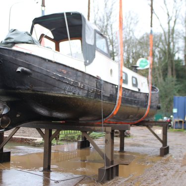 JJ with Bright Orange Straps