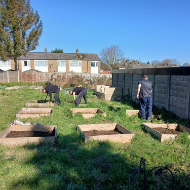 Guys working at Root and Rise in the Sun