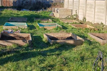 Root and Rise Header 2