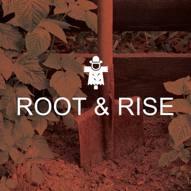 Roo and Rise Logo with ScrareCrow